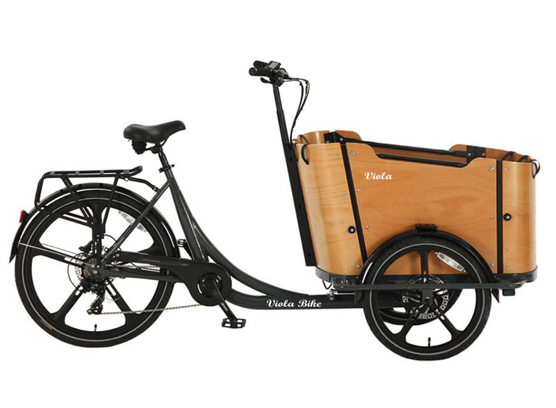 Cargo Bike CURVY Motore Post. (Brown)