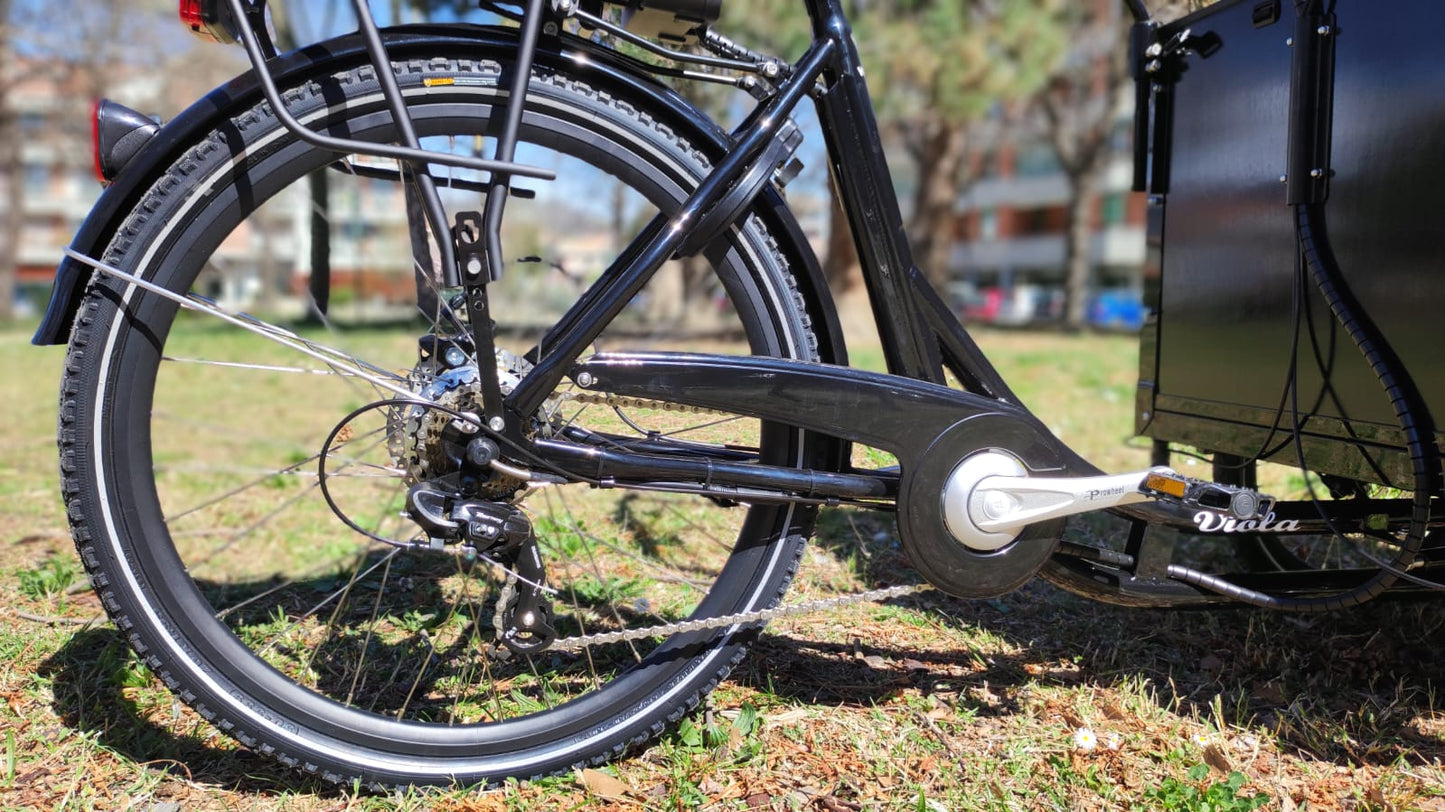 Cargo Bike Canguro 250W (Black)