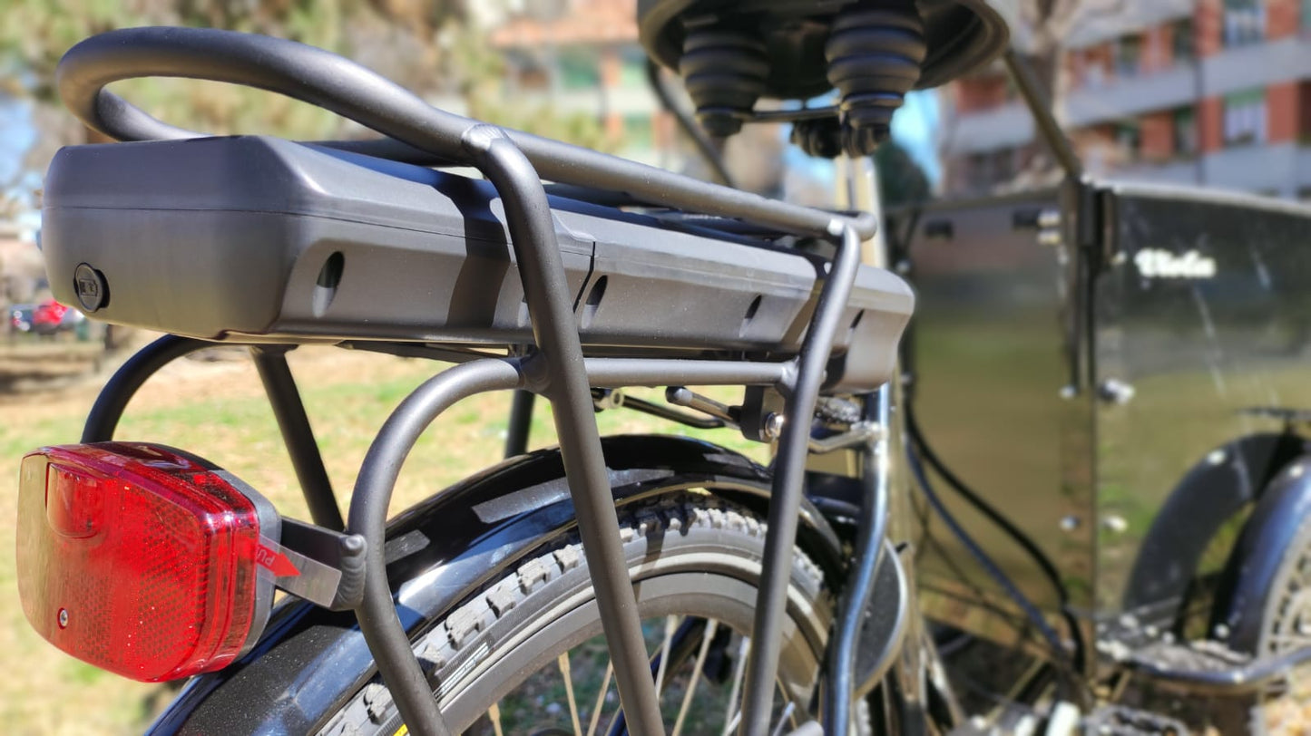 Cargo Bike Canguro 250W (Black)