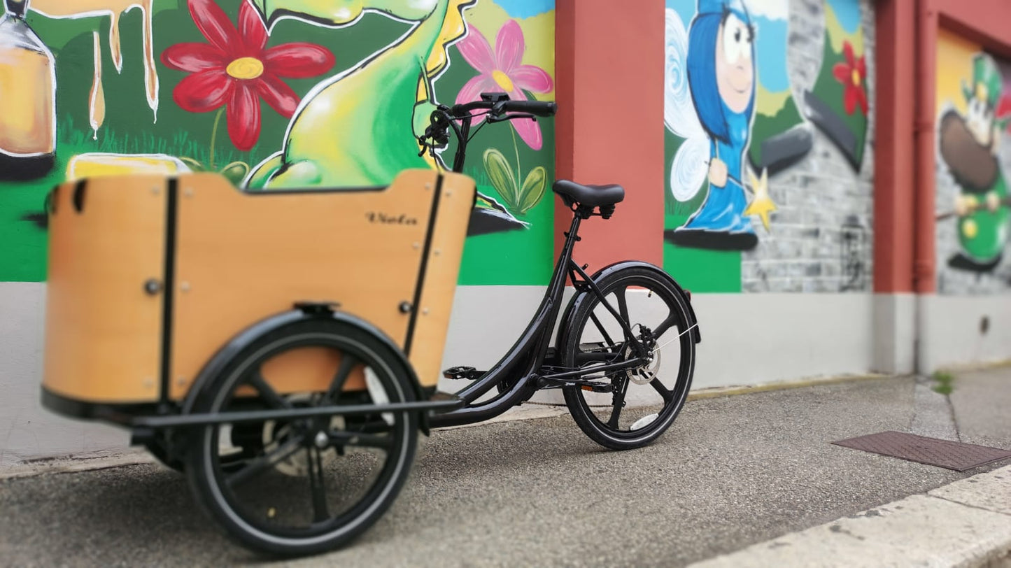 Cargo Bike Curvy 2024