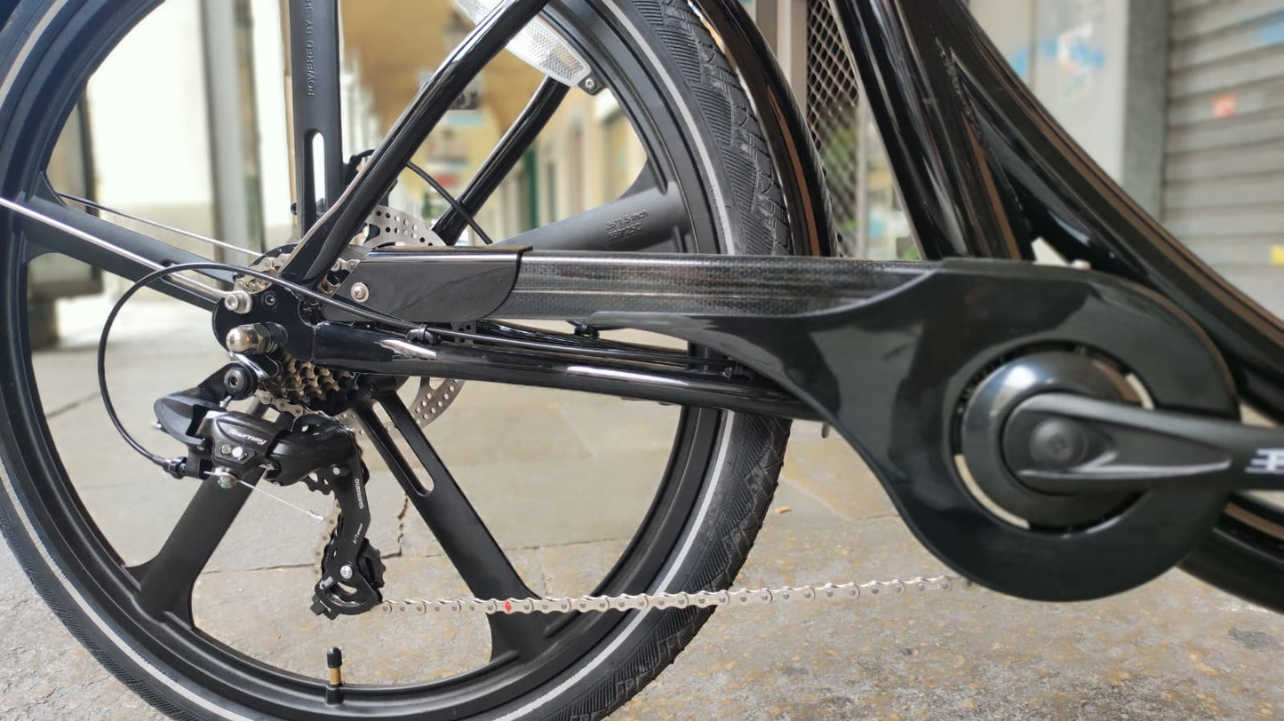 Cargo Bike CURVY Motore Post. (Brown)