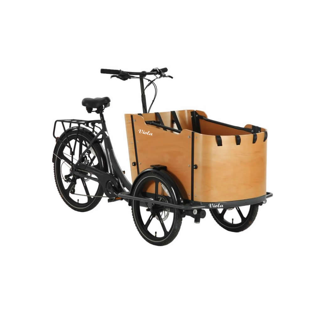 Cargo Bike Curvy 2024
