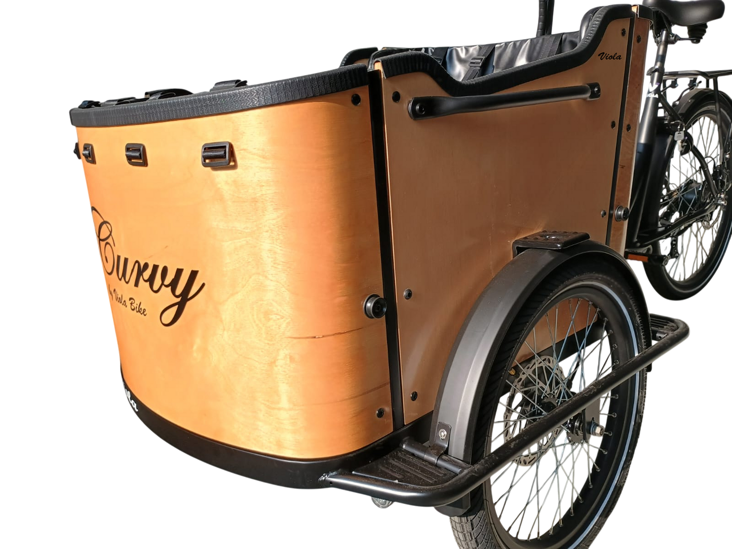 Cargo Bike CURVY Motore Post. (Brown)