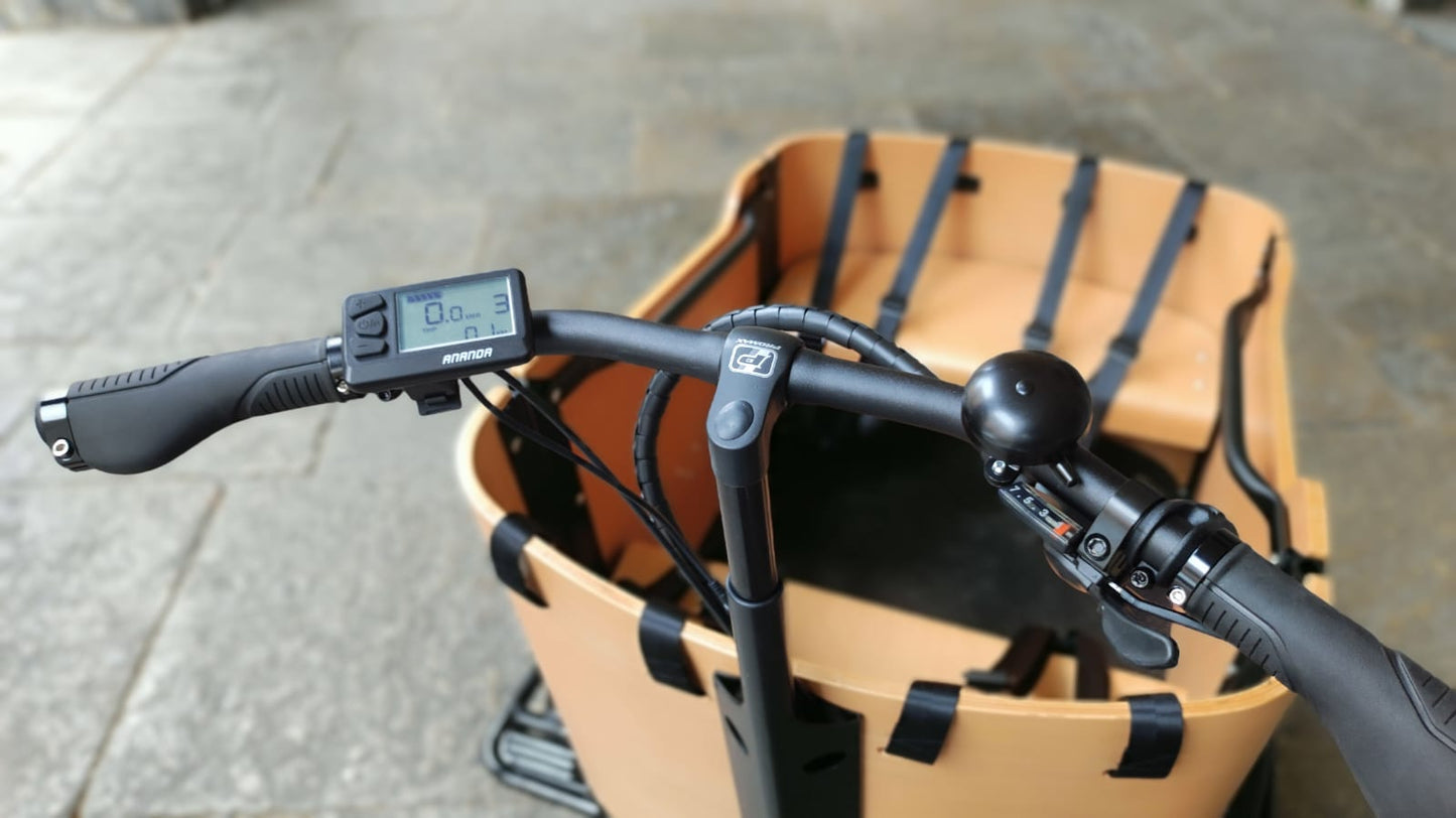 Cargo Bike CURVY Motore Post. (Brown)