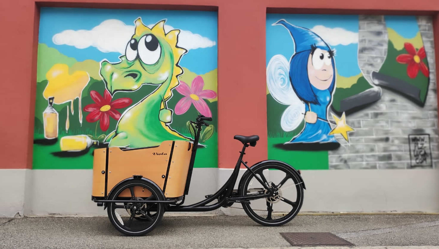Cargo Bike CURVY Motore Post. (Brown)