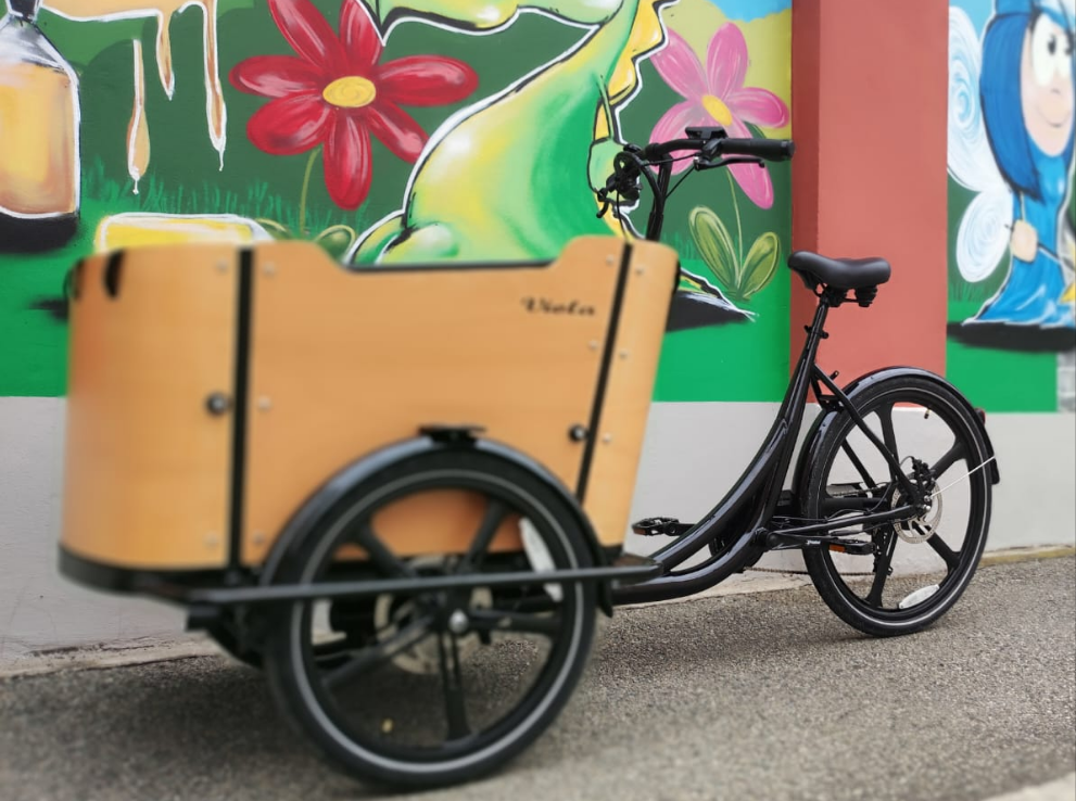 Cargo Bike CURVY Motore Post. (Brown)
