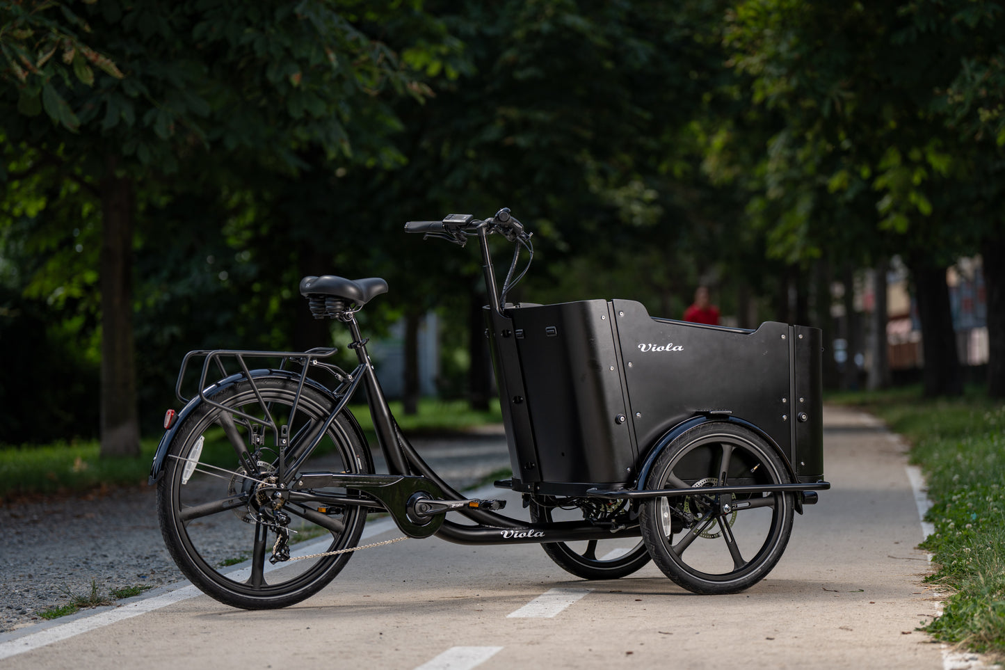 Cargo Bike CURVY Motore Post. (Brown)