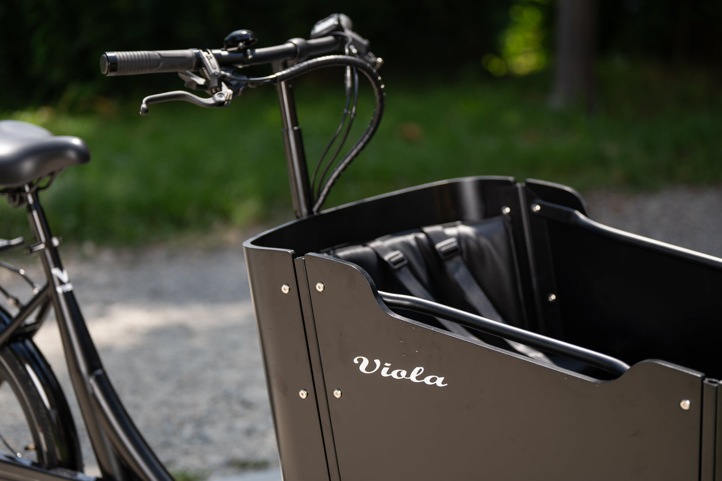 Cargo Bike CURVY Motore Post. (Brown)