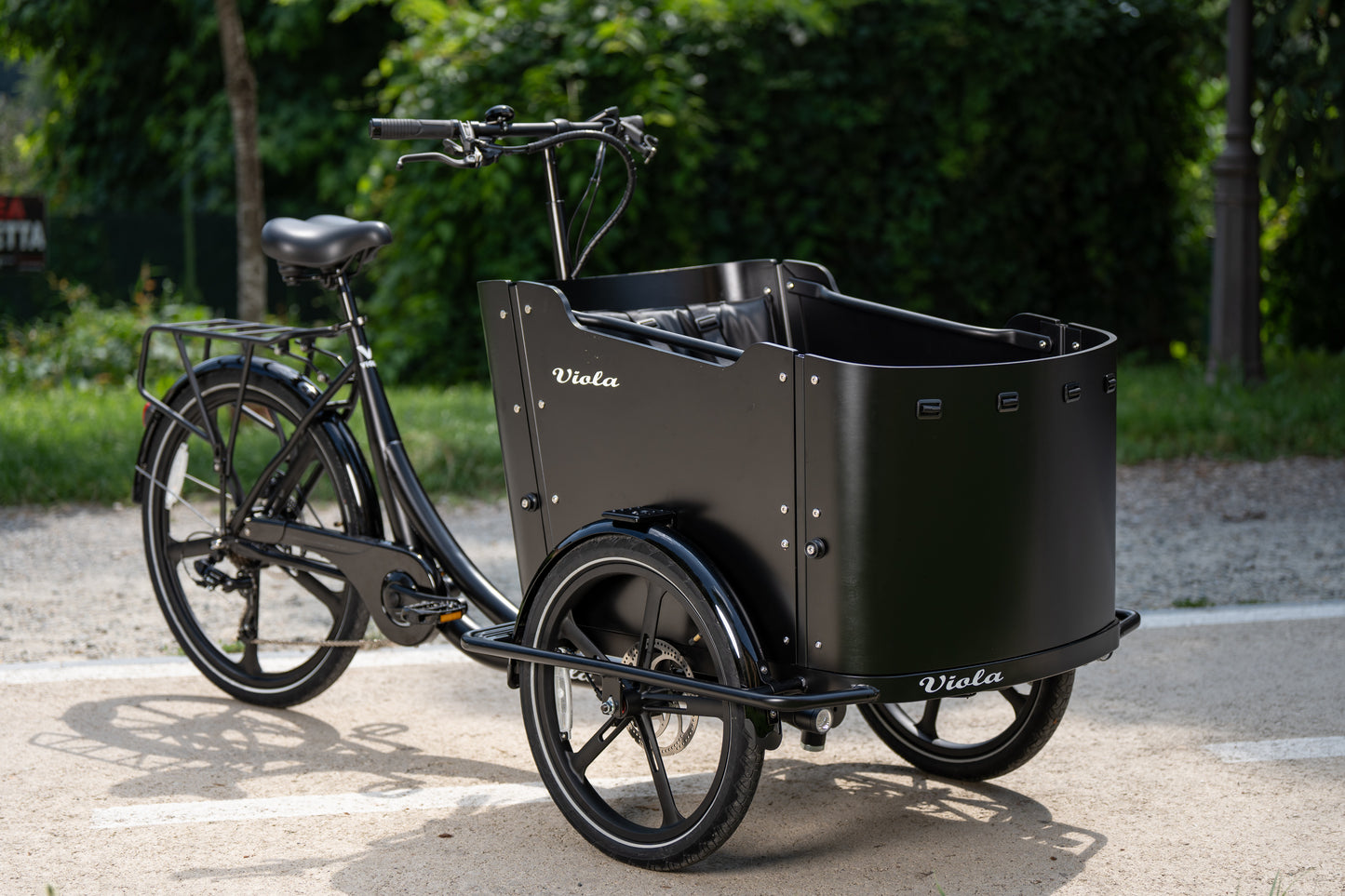 Cargo Bike CURVY Motore Post. (Brown)