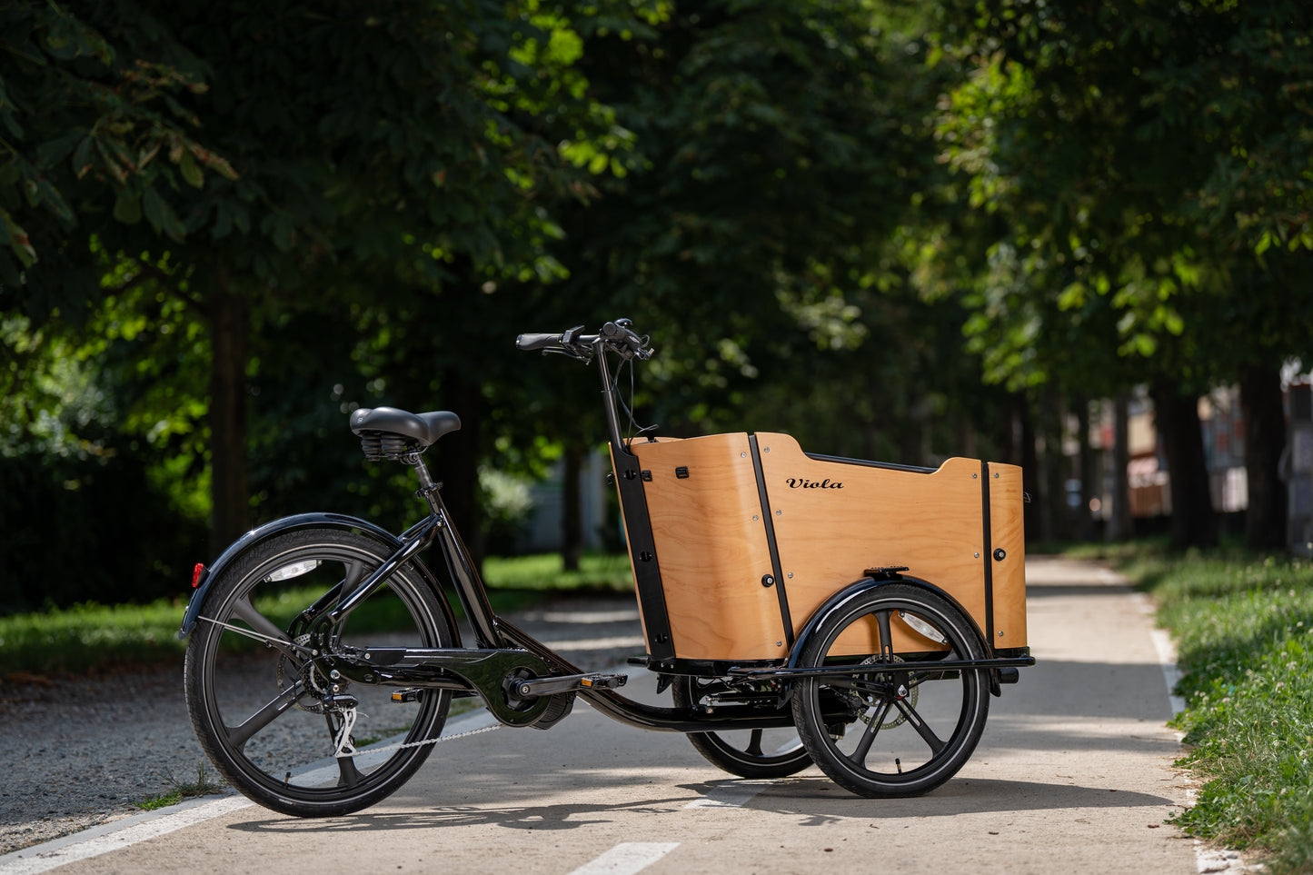 Cargo Bike CURVY motore centr. (Brown)