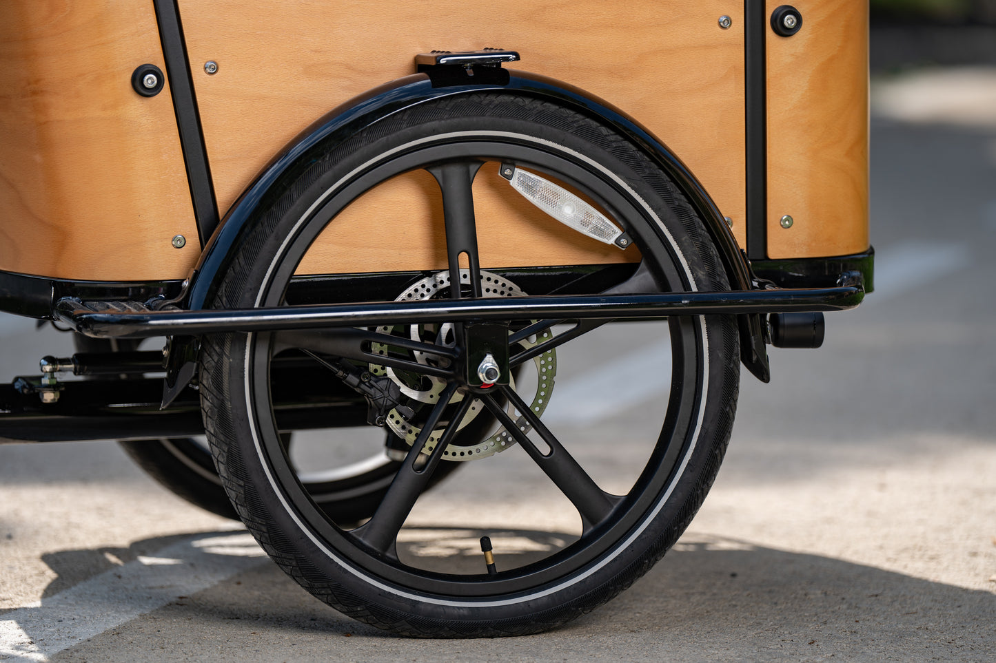 Cargo Bike CURVY motore centr. (Brown)