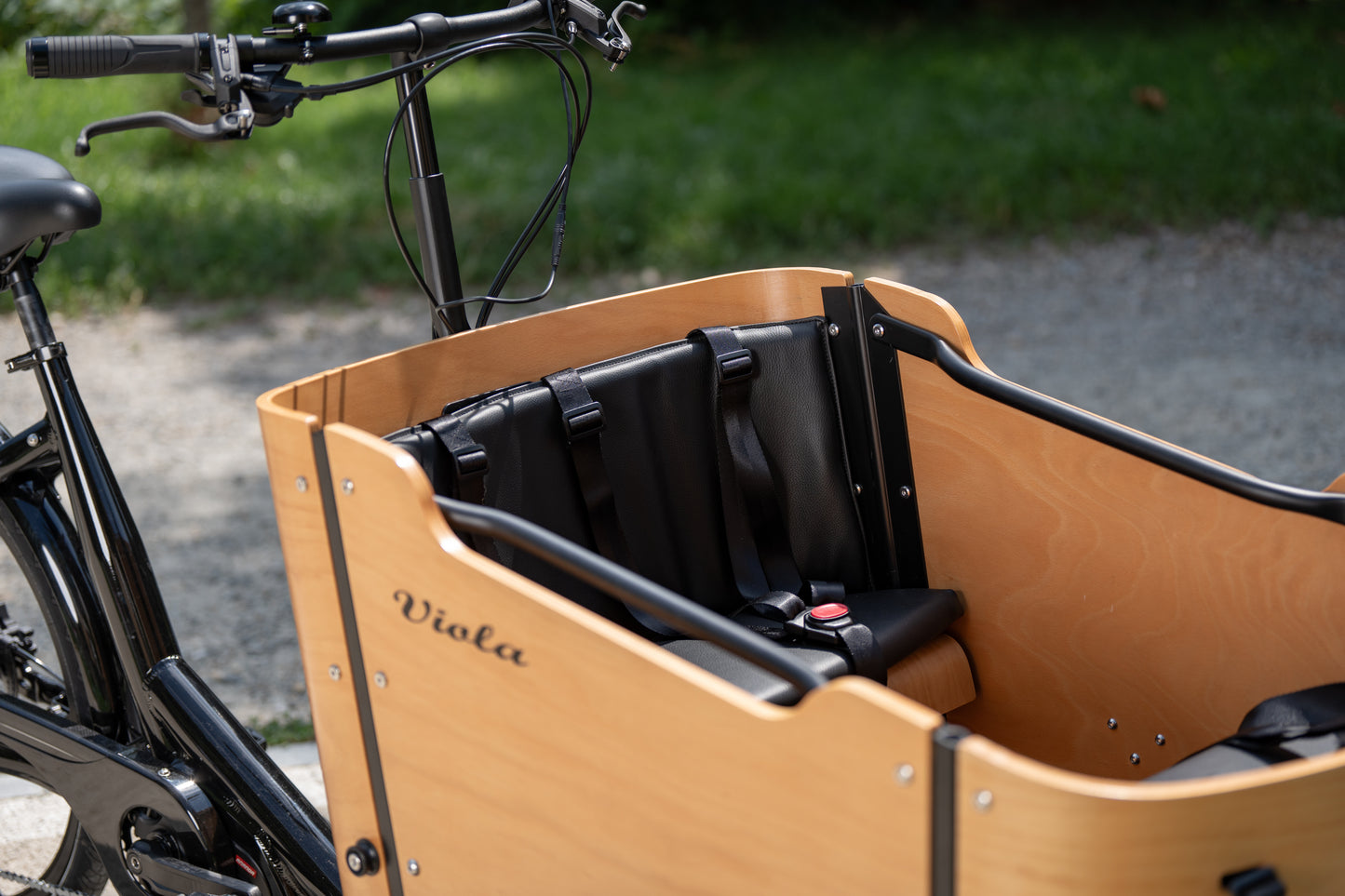 Cargo Bike CURVY motore centr. (Brown)