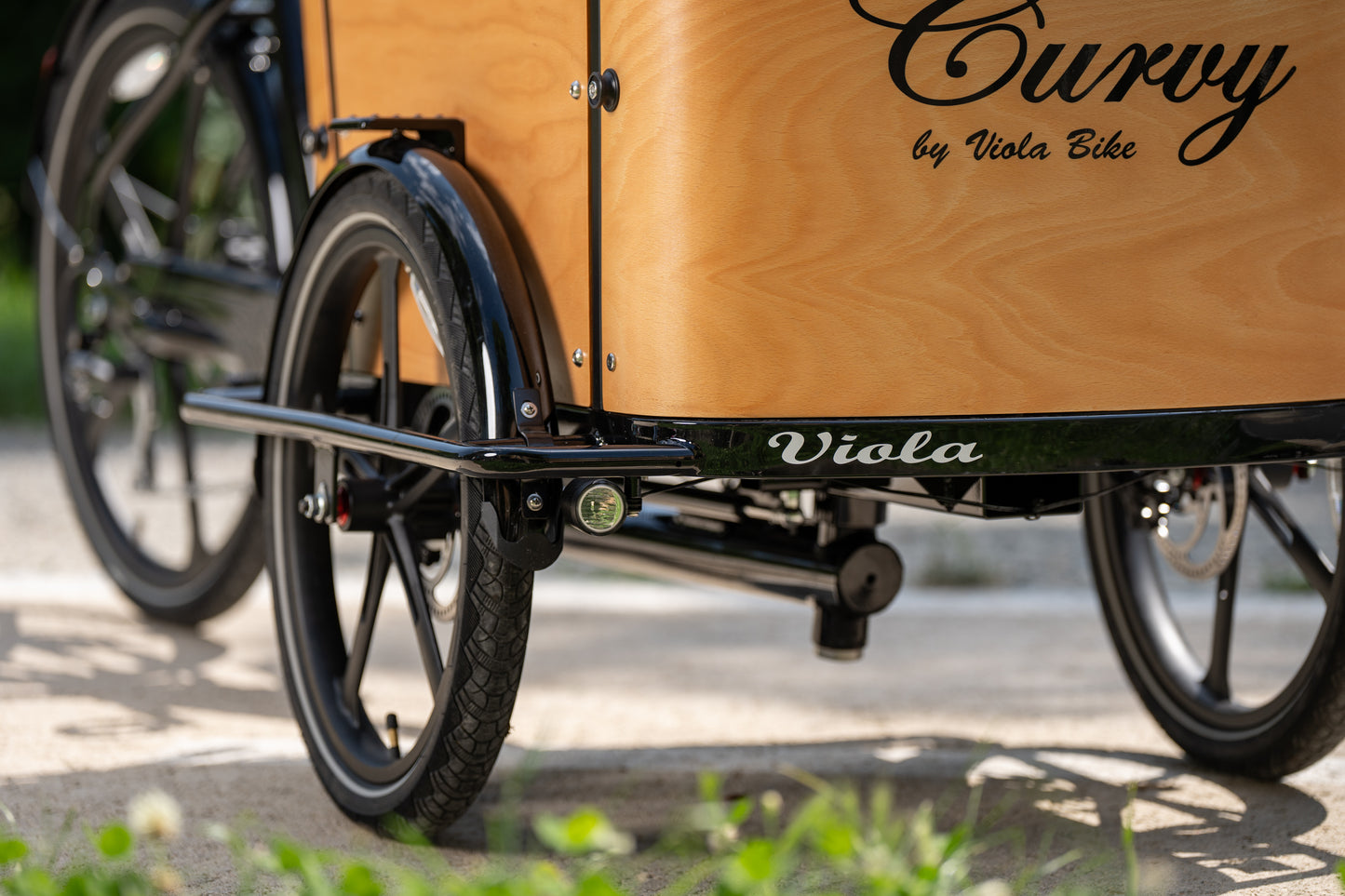 Cargo Bike CURVY motore centr. (Brown)