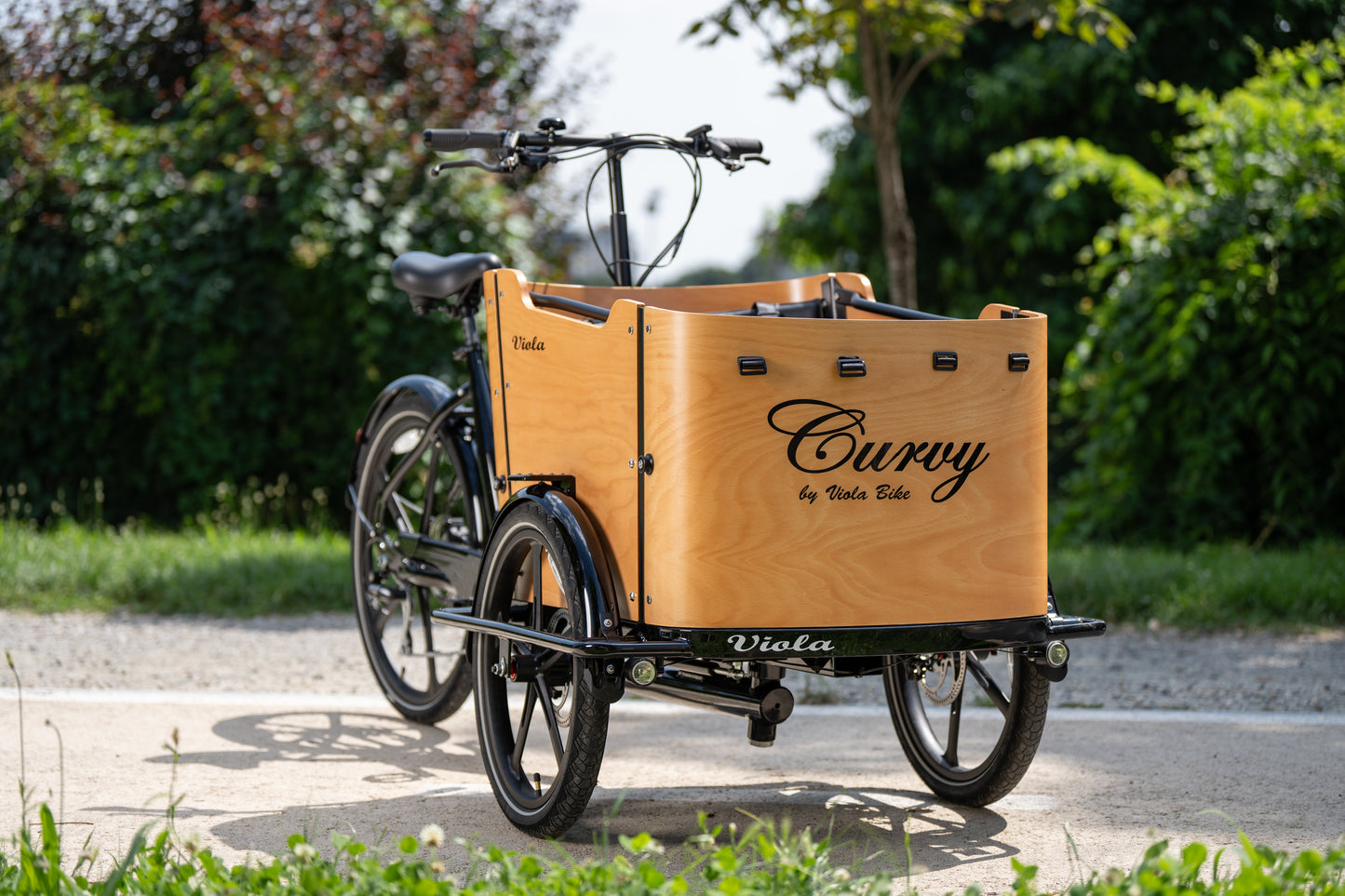 Cargo Bike CURVY motore centr. (Brown)