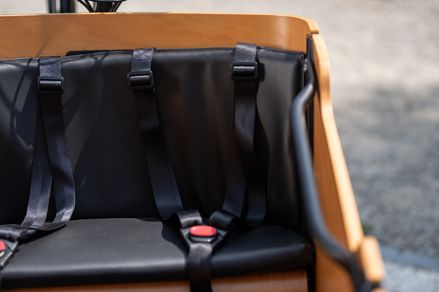 Cargo Bike CURVY motore centr. (Brown)