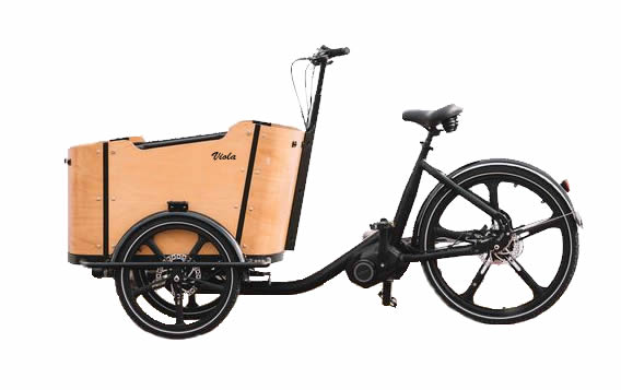 Cargo Bike CURVY motore centr. (Brown)