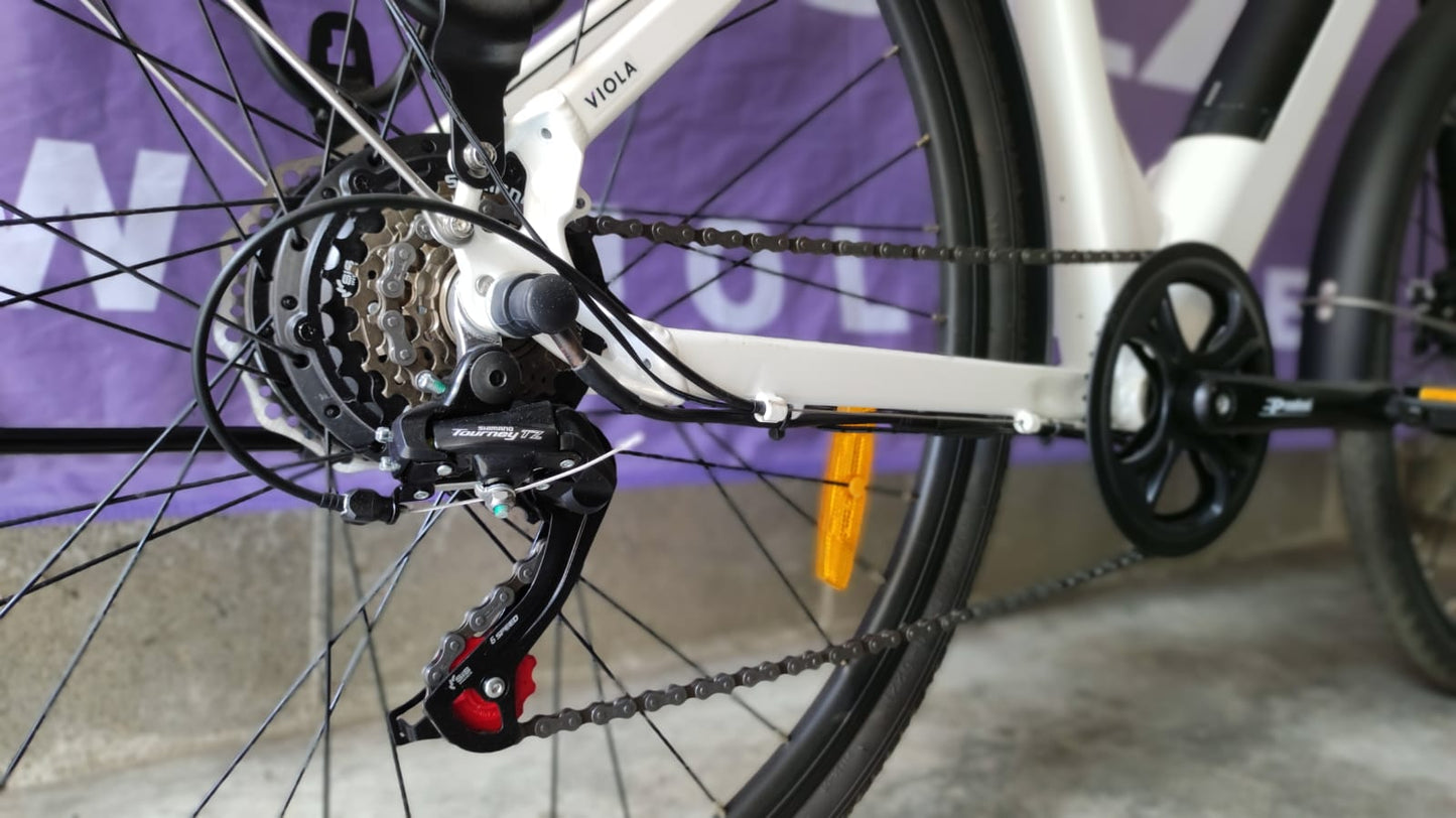 City Bike 2024