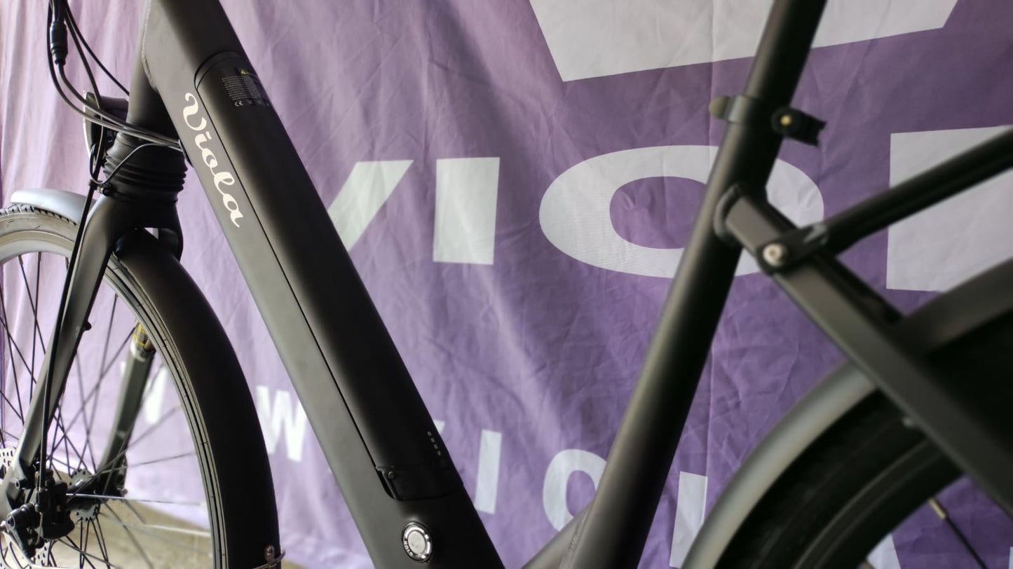 City Bike 2024