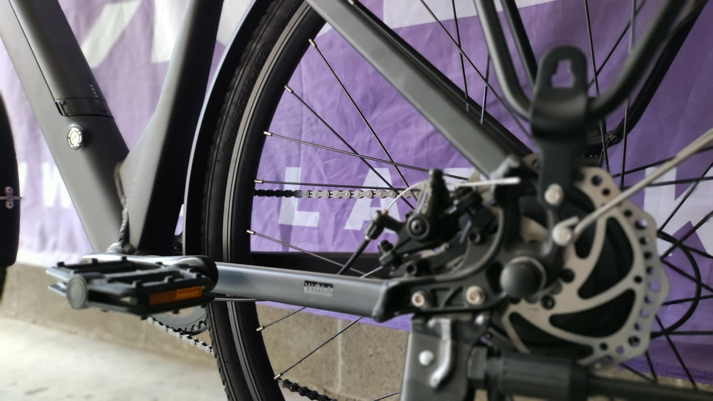 City Bike 2024