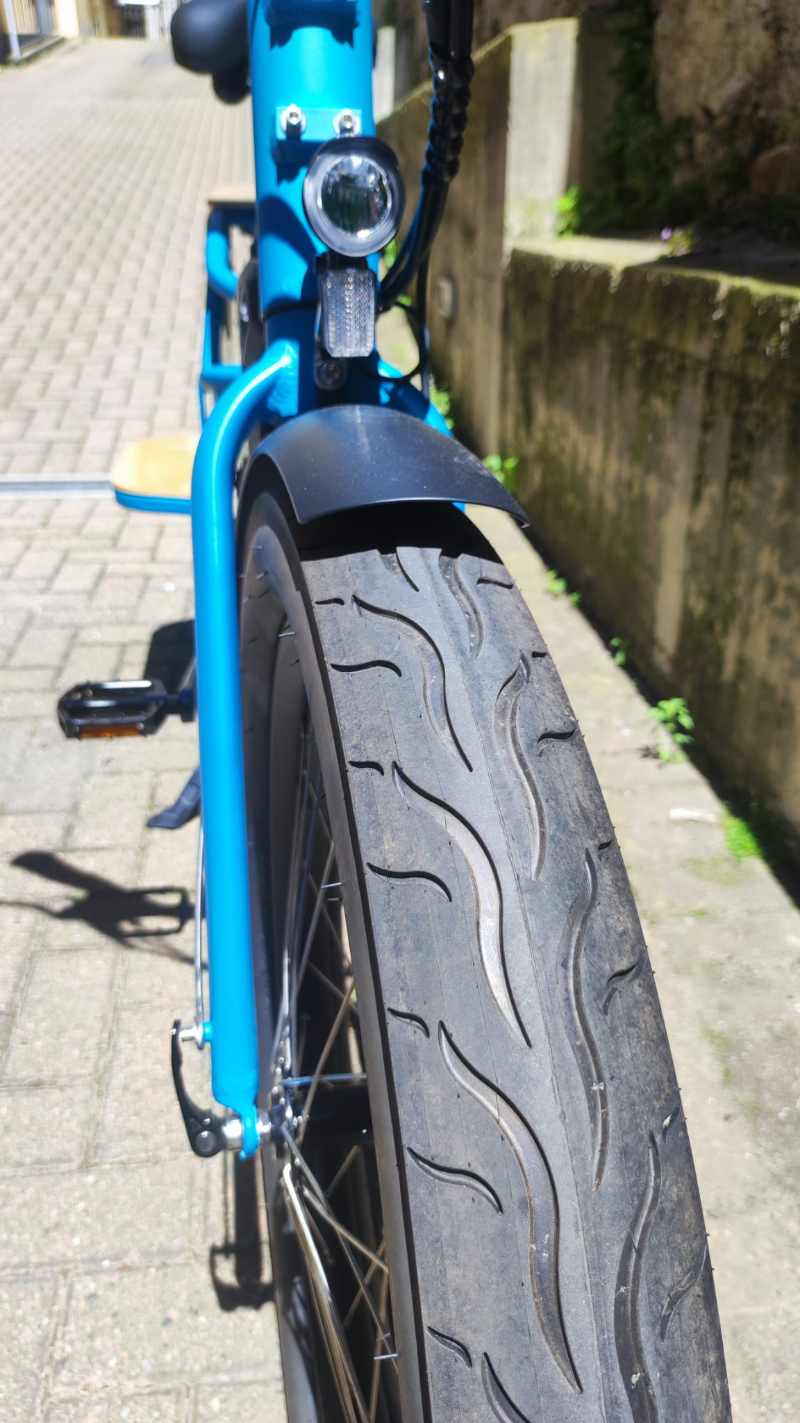 Cargo Long Tail 250W
