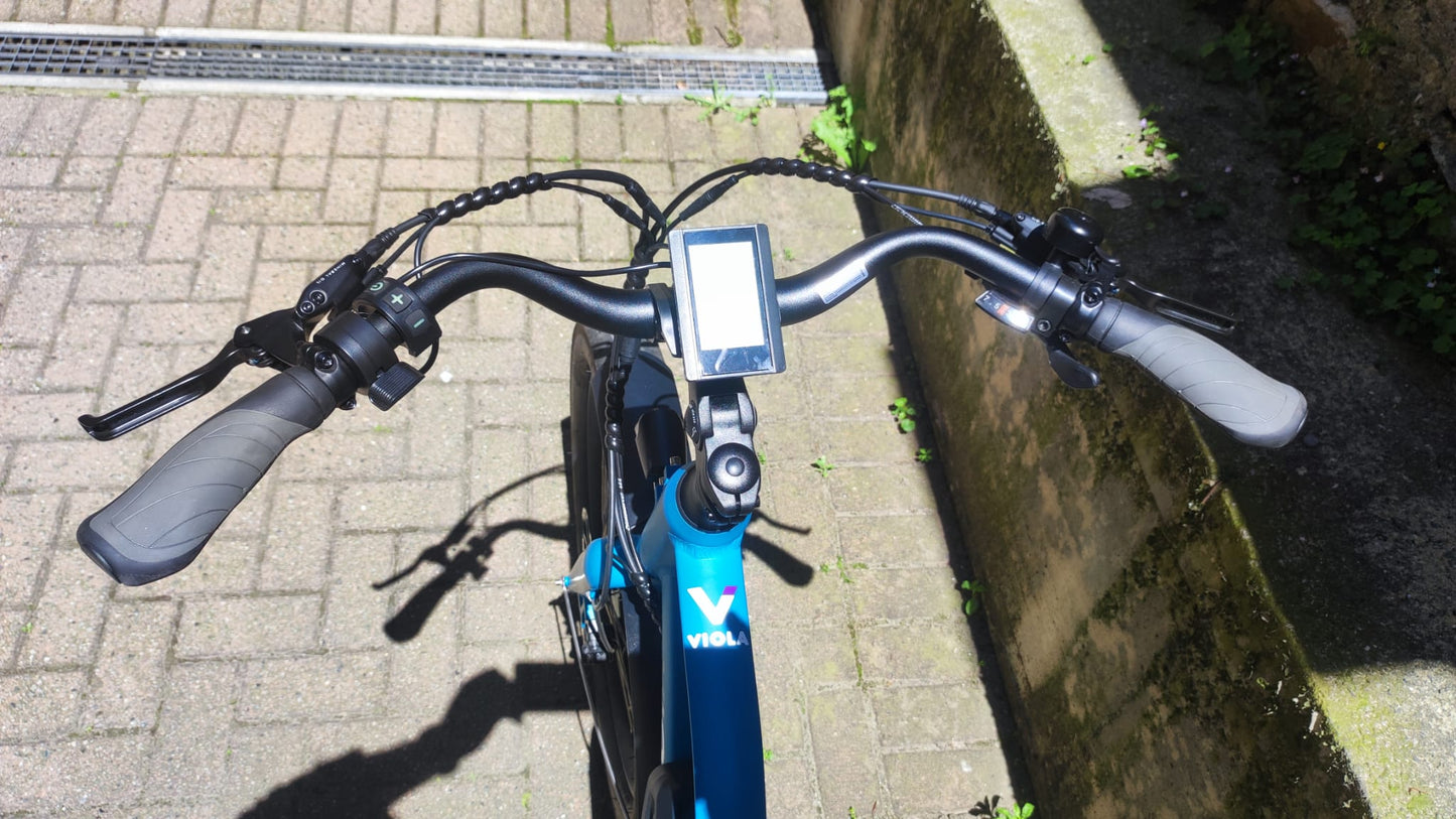 Cargo Long Tail 250W