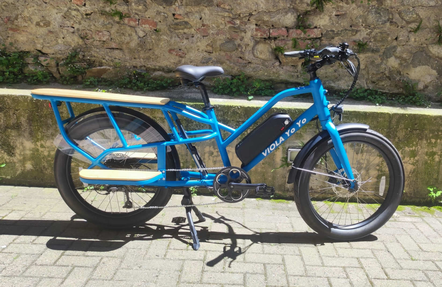Cargo Long Tail 250W