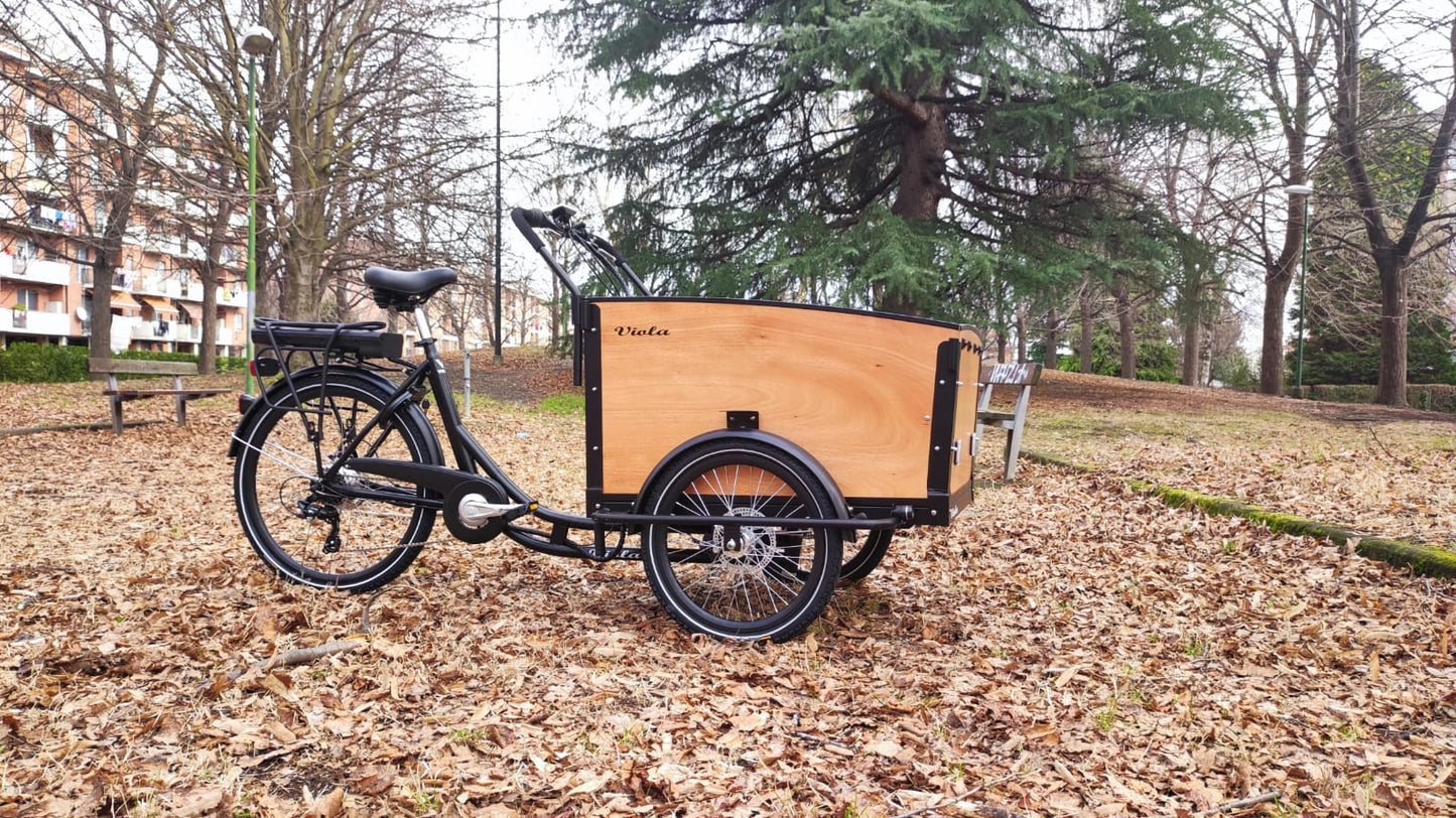 Cargo Bike Kangaroo