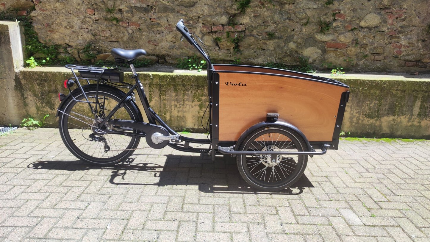 Cargo Bike Kangaroo