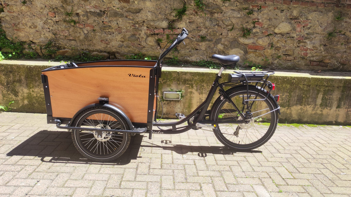 Cargo Bike Kangaroo