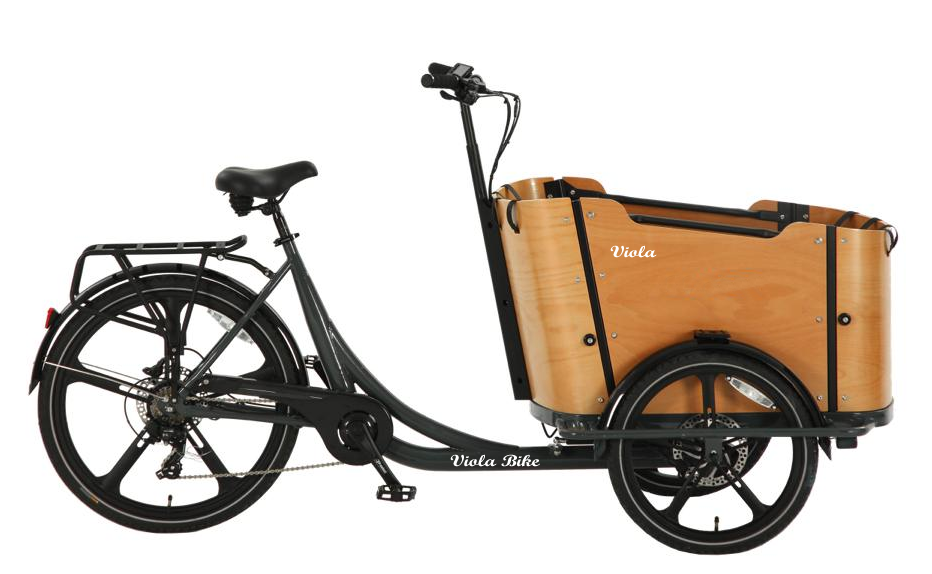 Cargo Bike Curvy 2024