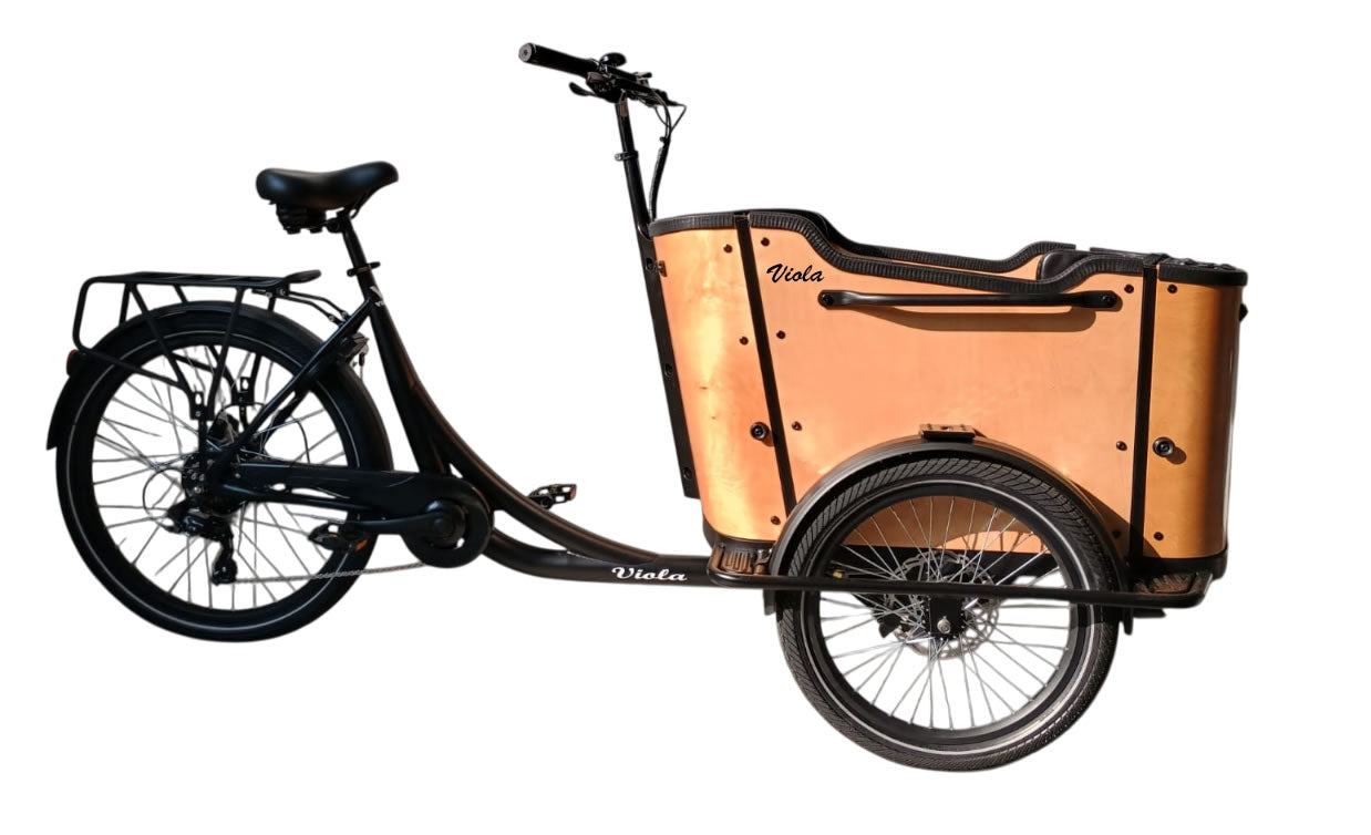 Cargo Bike CURVY Motore Post. (Brown)