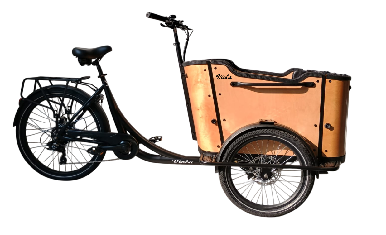 Cargo Bike CURVY Motore Post. (Brown)