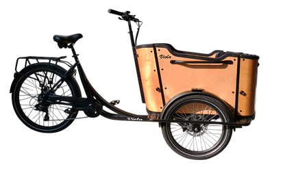 Cargo Bike CURVY Motore Post. (Brown)