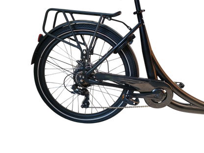 Cargo Bike CURVY Motore Post. (Brown)
