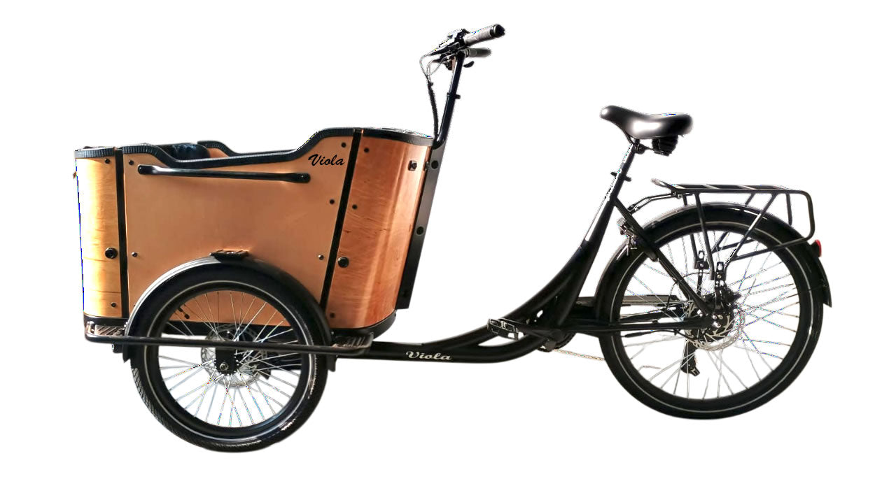Cargo Bike CURVY Motore Post. (Brown)
