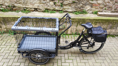 Cargo bike Canguro vers BOX DOG