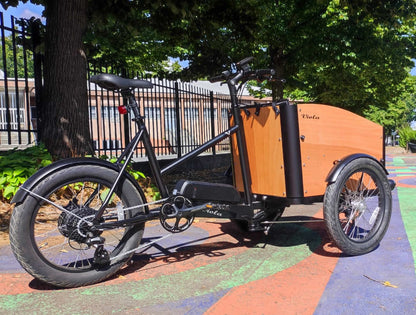 Cargo Bike Quakka