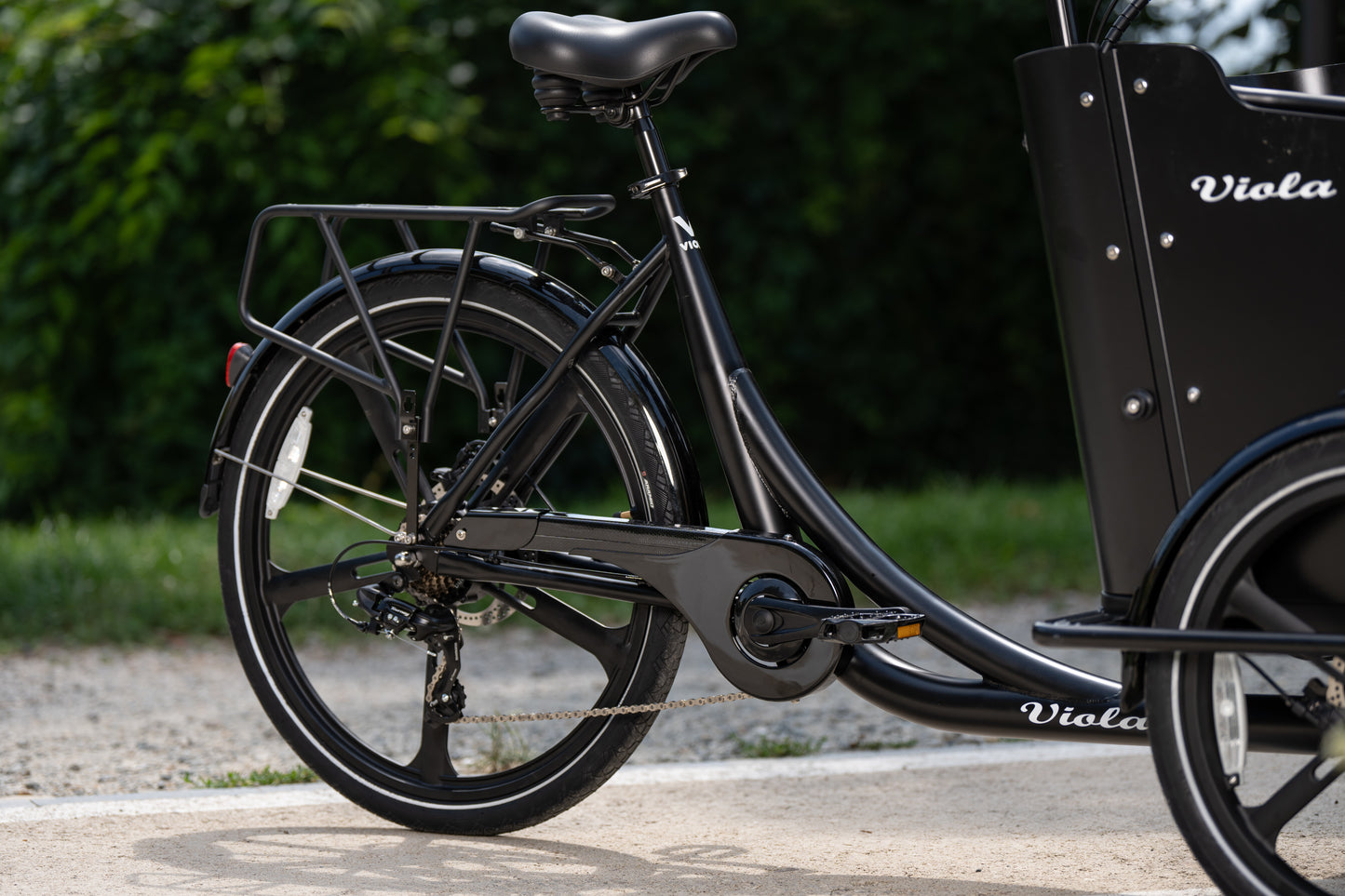 Porta pachi posteriore Cargo Bike Curvy e  Moon