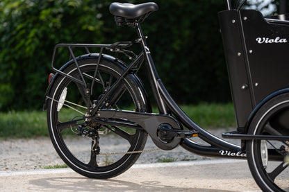 Porta pachi posteriore Cargo Bike Curvy e  Moon