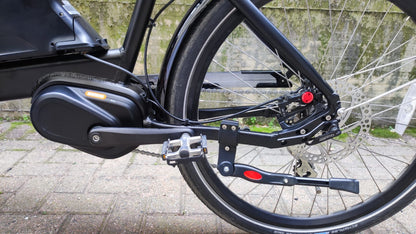 Cargo Bike Beluga 250W