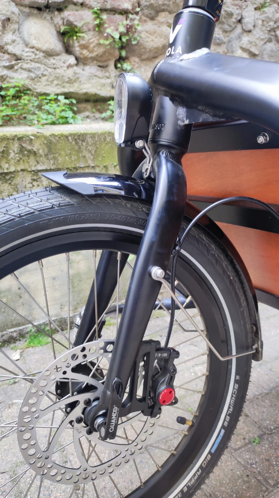 Cargo Bike Beluga 250W