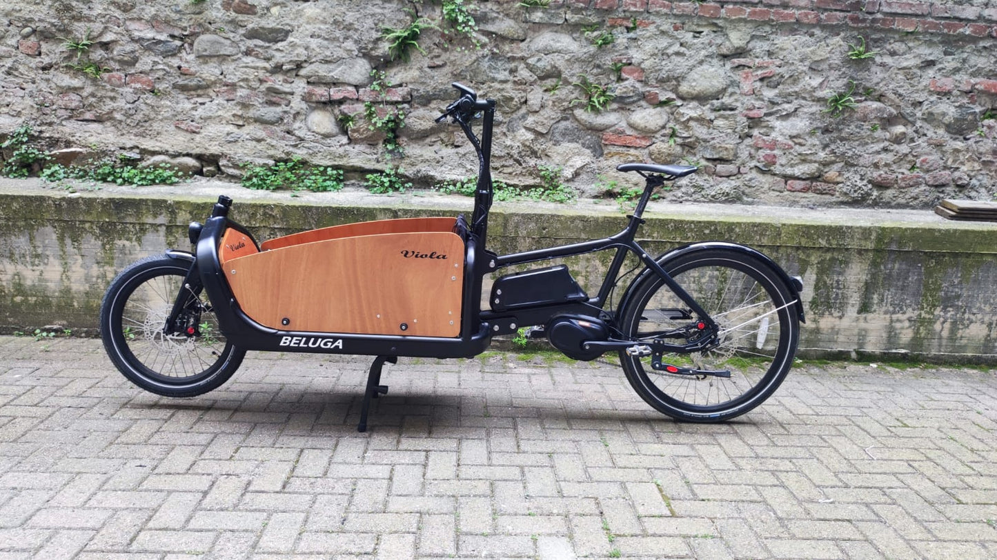 Cargo Bike Beluga 250W