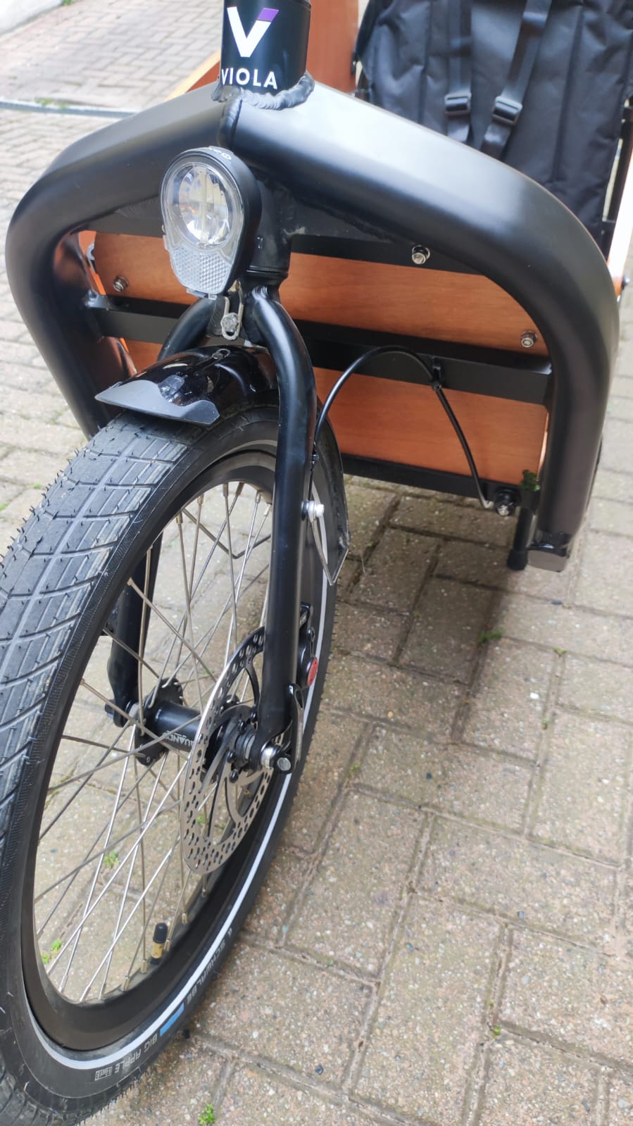 Cargo Bike Beluga 250W