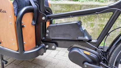 Cargo Bike Beluga 250W