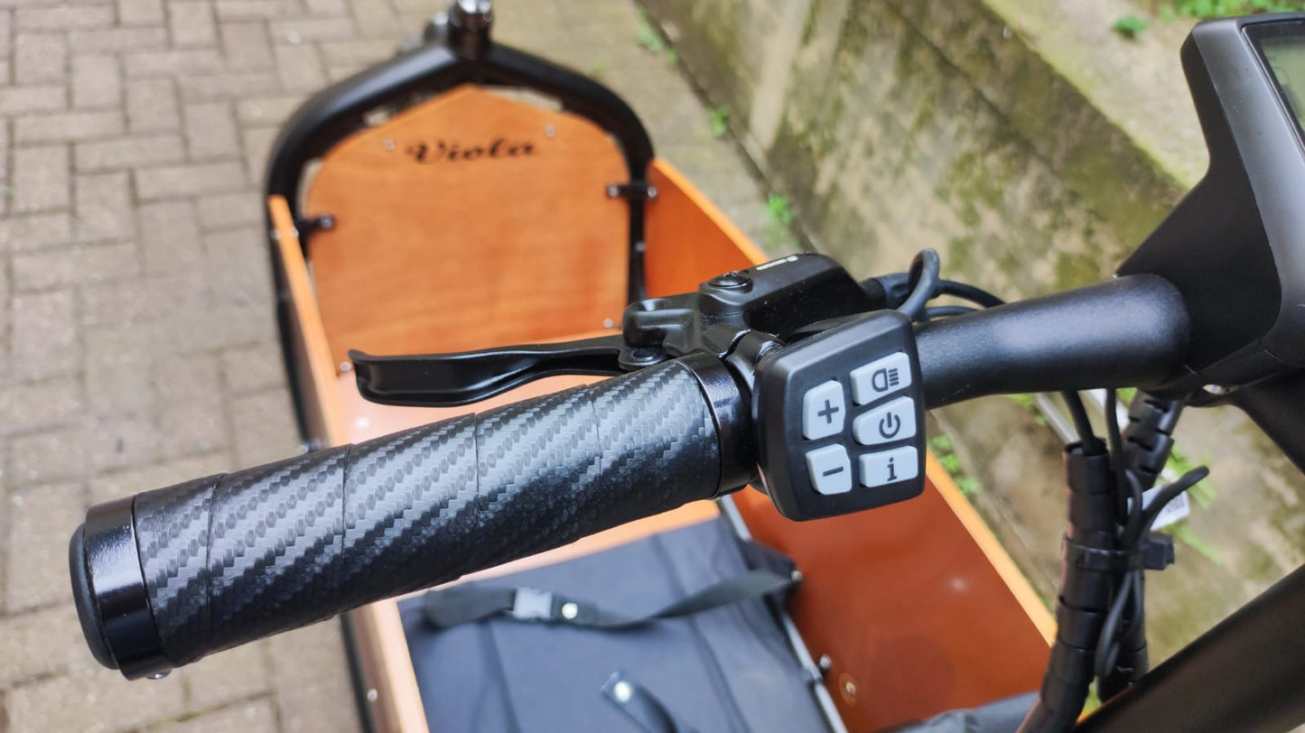 Cargo Bike Beluga 250W