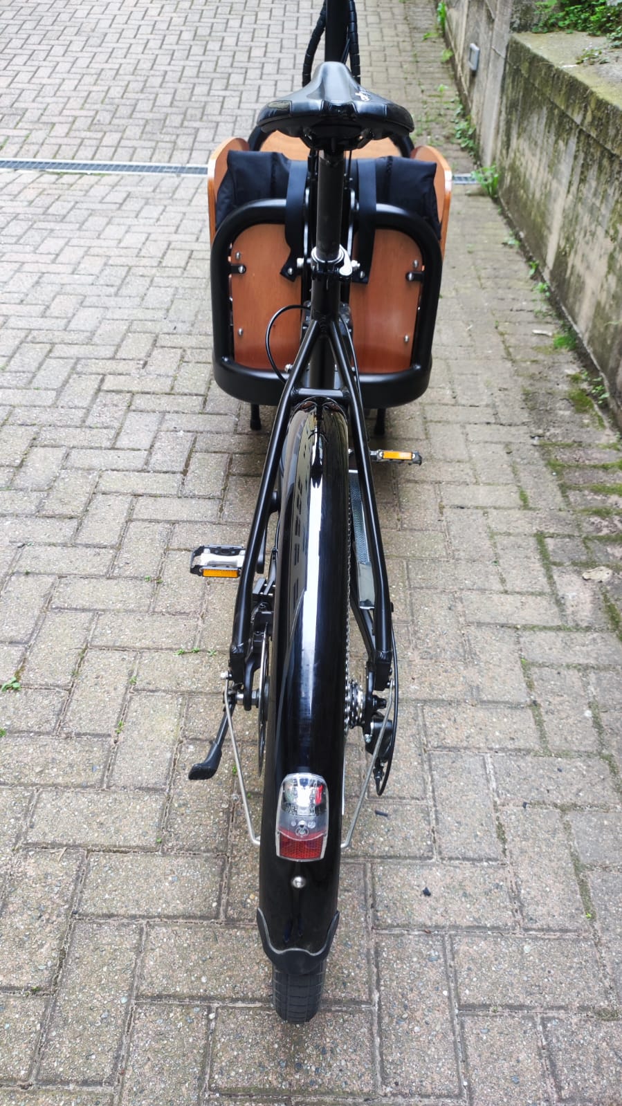 Cargo Bike Beluga 250W