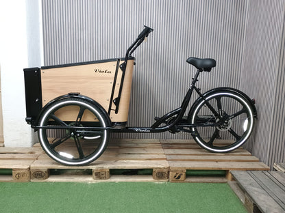 Cargo Bike SUN con porta