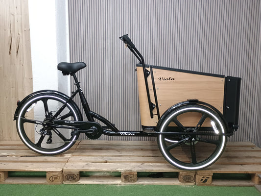 Cargo Bike SUN con porta