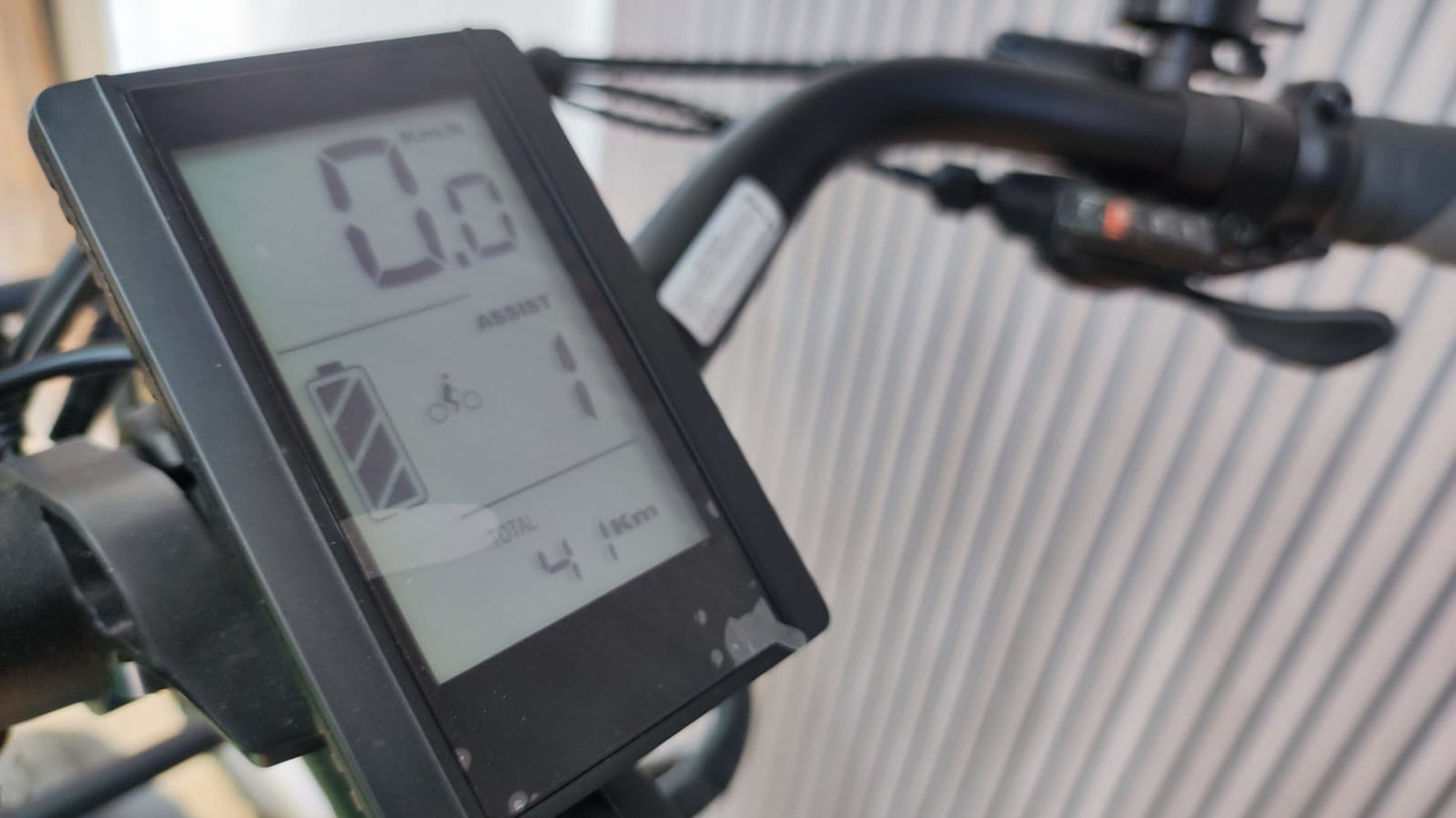 Cargo Long Tail Yo Yo